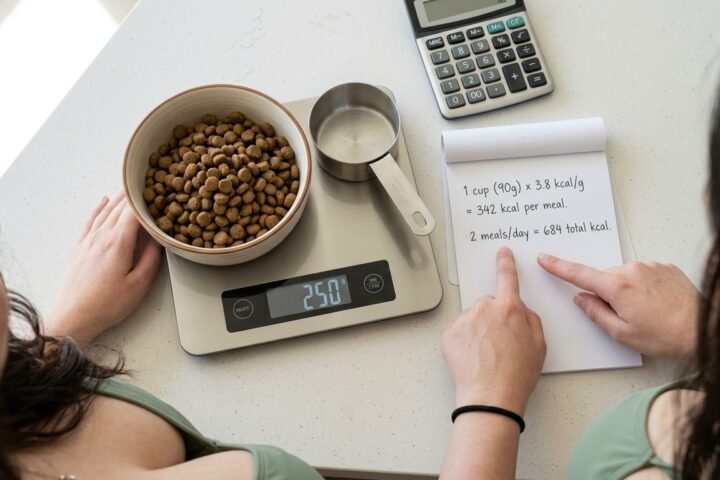 Converting a dog’s daily calorie allowance into grams of food